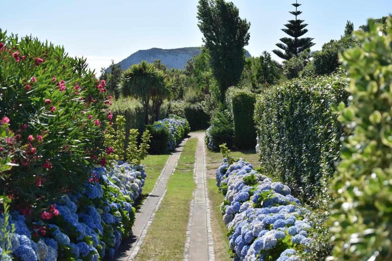 Quinta Da Meia Eira Castelo Branco  ภายนอก รูปภาพ
