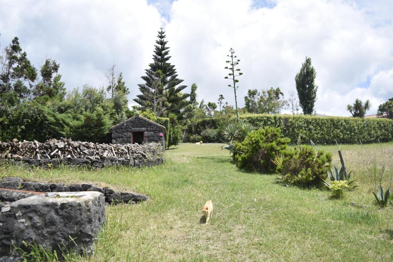 Quinta Da Meia Eira Castelo Branco  ภายนอก รูปภาพ