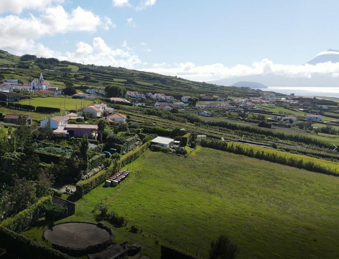 Quinta Da Meia Eira Castelo Branco  ภายนอก รูปภาพ