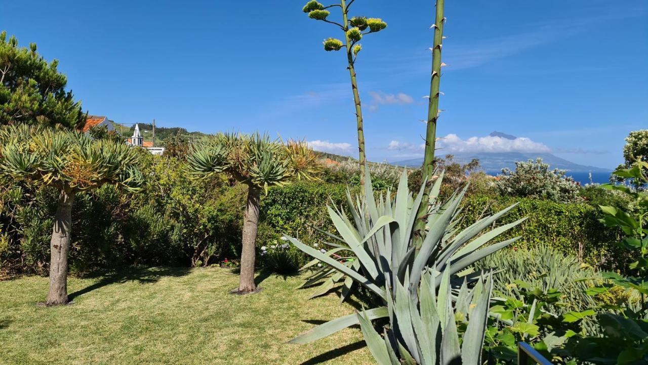 Quinta Da Meia Eira Castelo Branco  ภายนอก รูปภาพ