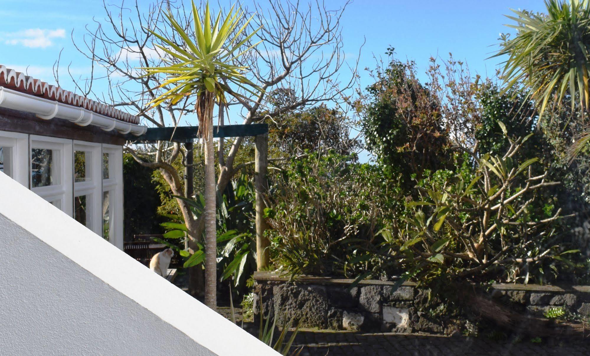 Quinta Da Meia Eira Castelo Branco  ภายนอก รูปภาพ